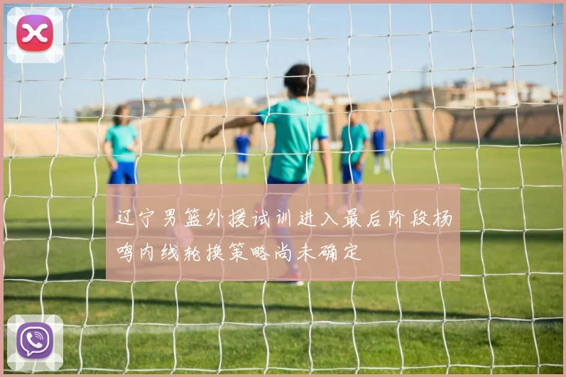 辽宁男篮外援试训进入最后阶段杨鸣内线轮换策略尚未确定